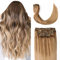 Sindra Clip in Extensions Echthaar Balayage Ashblond bis Bleach Blonde Human Hair 35cm 100g 6pcs Haarverlängerung Clip in Natürliche Remy Echthaar Extensions C#10/16/16 14 Zoll