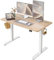 FEZIBO Schreibtisch Höhenverstellbar Elektrisch, 120 x 60 cm Steh-Sitz Tisch, Verstellbarer Stehpult mit Memory-Steuerung, Ergonomischer Computertisch Homeoffice