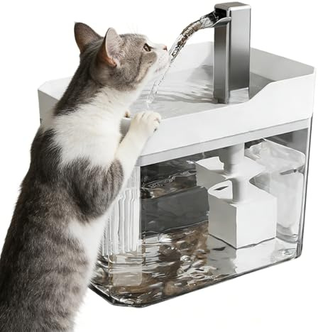 Fontaine à eau pour chat | Abreuvoir électrique silencieux de 1,5 L à détection intelligente pour chien, alimentation automatique à l'intérieur, pour la maison, le bureau, l'appartement, la chambre