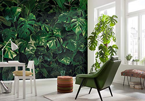 Komar - Vlies Fototapete TROPICAL WALL - 400 x 250 cm - Tapete, Wandgestaltung, Design, Wandbelag, Regenwald, Exotic, Dschungel, Landschaft, Blätter, Tropen - SO-333