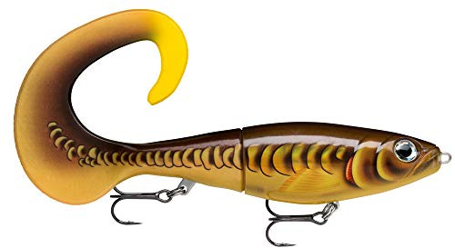 Rapala Unisex-Adult X-Rap Otus Locken, Mirror Carp, 25 cm / 90g