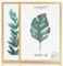 Ligarti® Bilderrahmen (Made in EU) I Rahmen aus Echtholz I Holzbilderrahmen, Holzrahmen I Picture Frame (A4, 2x natur)