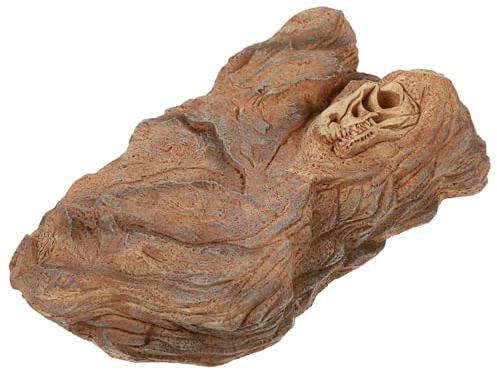 NUOBESTY Realistisches Dinosaurier Schädelmodell mit Hoher Haltbarkeit aus Kunststoff und Einzigartiger Form für Reptilienbox und Landschaftsfotografie Dekoration