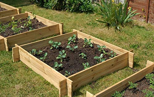 Primrose 248L The Chamberlain Wooden Raised Grow Bed Flower Bed Height 20cm 124cm²