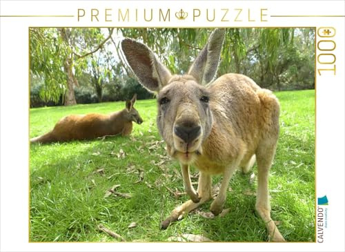 CALVENDO Puzzle Känguru | 1000 Teile Lege-Größe 64 x 48 cm Foto-Puzzle für glückliche Stunden