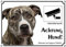 Petsigns Hundeschild - American Staffordshrie Terrier mit Videoüberwachung - Exklusives Metallschild, DIN A3
