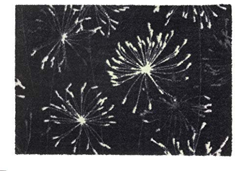Schöner Wohnen Kollektion Fußmatte innen - Schmutzfangmatte 67 x 100 cm Pusteblume anthrazit-Mint - rutschfeste Sauberlaufmatte - Fussmatte Haustür - Türmatte waschbar bei 30°C
