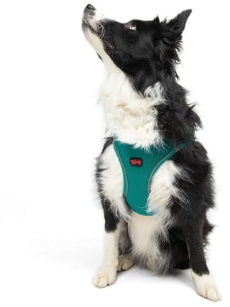 Tailpetz Airmesh-Geschirr (Smaragd, XL)