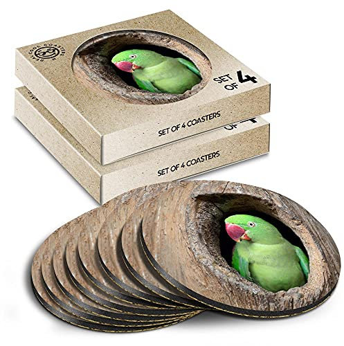 8 x Eco Boxed Cork Coasters - Cute Parrot Tree House Parakeet Bird Drink Cup Mug Glass Table Mat #16388