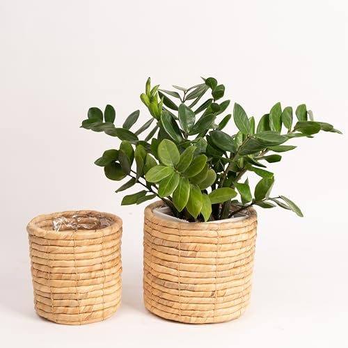 NEERGREVE Set of 2 Water Hyacinth Planter Pot Indoor for Plant, Flower, Succulent, Basket Planter, Decorative Pot Cover (Natural)