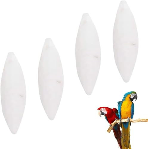 JTKREW 4 pcs Groß Sepiaschalen Sepiaschalen für Vögel Reptilien Schildkröten Bartagamen und Schnecken Optimale Kalzium u Mineralversorgung