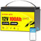 Batteria al Litio 12V 100AH Lifepo4 Potenza Massima 1280W Batteria Ricaricabile a Ciclo Profondo con Protezione a Bassa Temperatura per Sistema Solare, Off-grid, Marina, Power Wheel, Kayak