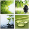 ARTland Glasbild Wandbild Glas Bild 4er Set 4 teilig je Wellness Entspannung Zen Wasser Grün Blätter Stein Pyramide S6PI