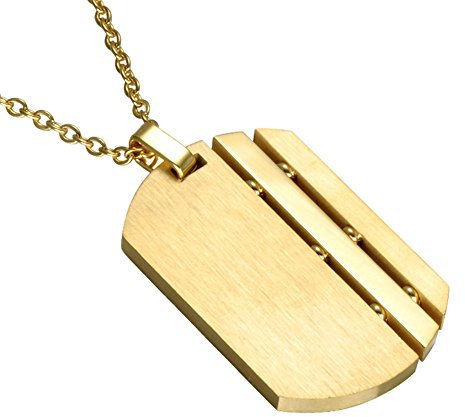PAURO Homme Acier Inoxydable Mat Brossé Or Militaire Armée Chien Tag Pendentif Charme Collier