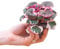 PLNTS - Baby Saxifraga Tricolor - Zimmerpflanzen, Pflanzen Echt, Nachhaltige Verpackung - 6cm Topf - Höhe 10cm - Direkt von der Gärtnerei