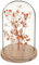 Atmosphera - Fleurs séchées sous Cloche Gypsy H17 cm - Orange