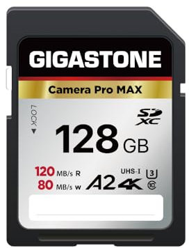 [5 anni di recupero dati gratuito]GIGASTONE A2 Scheda Memoria SDXC 128 GB, 4K Camera Pro, Velocità 120 MB/s Fotocamera Canon Nikon Sony Panasonic, U3 UHS-I Classe 10 per 4K UHD Video, 1 Mini Custodia.