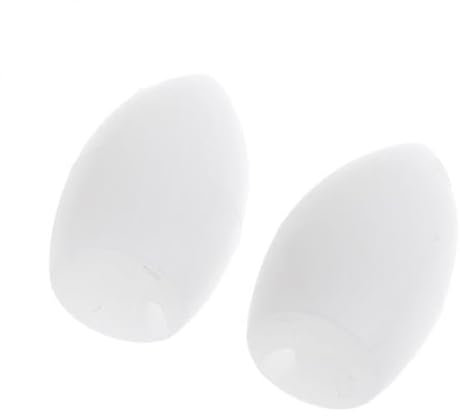 Fenteer 4X 2 Stück Schwimmende Sbirolino Bombarda Forelle Pose Floats