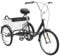 20 Inch Dreirad 3 Rad Fahrrad mit Einkaufskorb und Kindersitz, Erwachsene Dreirad Robuste Struktur Verstellbarer Sattel Lenker Single Speed Fahrrad für Unterhaltung, Einkaufen, Übung
