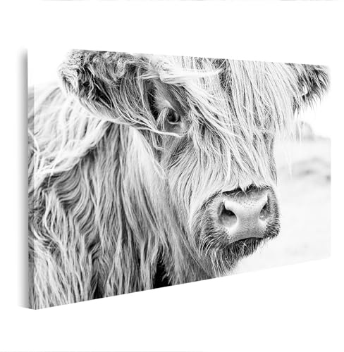 islandburner Bild auf Leinwand Schottisches Hochlandrind Schwarz Weiß Fotografie Bilder Wandbilder 80x40cm