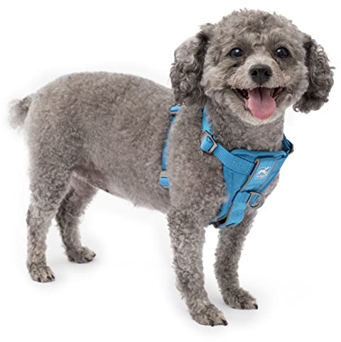 Kurgo Tru-Fit Smart Harness, Blue, Small