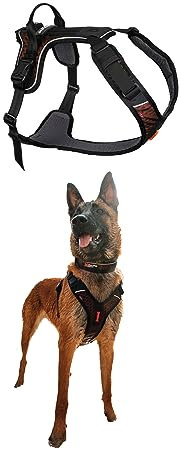 Non-Stop dogwear Rock Harness |130| Führ und Alltagsgeschirr, Größe:L