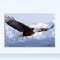 Leinwandbilder für Wohnzimmer Adler Malerei Wandkunst Decoracion Tiere Poster und Drucke Adler Skandinavisches Dekor 70x100cm Rahmenlos