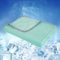 WONGS BEDDING Kühldecke Sommerdecke 2 in 1 doppelseitig mit Japanische Arc-Chill Q-Max 0,43 selbstkühlende Decke weiche Reisedecke leichte Sofadecke Wohndecke Grün 150x200cm