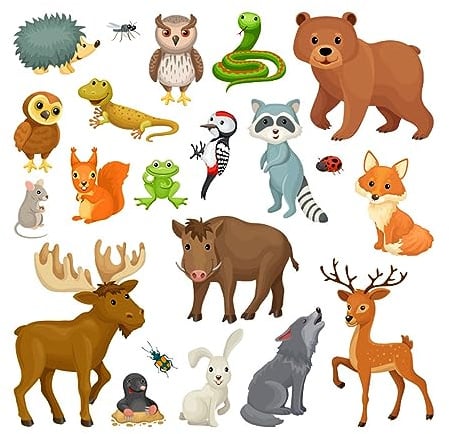 Codulu Bügelbild mit Tieren,Rentier,-Schlange,Wolf,Wärmeübertragungsaufkleber,Motivapplikation für DIY-T-Shirts,Jeans,Taschen,Hüte,Rucksäcke,Kunstdekoration,-S