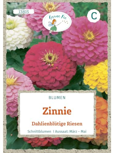 Grüne Fee - Zinnie Dahlienblütige Riesen Samen - 13815