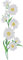 1 Bunch Large Daisy Flowers Embroidered Appliques Sew or Iron on Patches