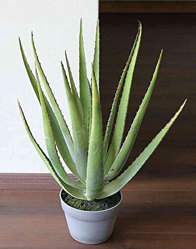 artplants.de Künstliche Aloe NAMIKA im Topf, grün, 60cm - Deko Sukkulente - Kunst Pflanze
