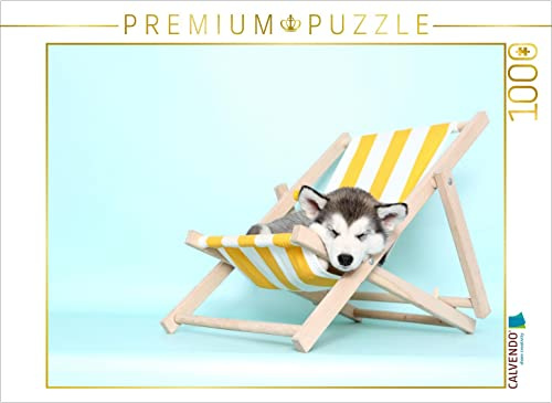 CALVENDO Puzzle Alaskan Malamute Welpe/Alaskan Malamute Puppy | 1000 Teile Lege-Größe 64 x 48 cm Foto-Puzzle für glückliche Stunden