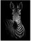Bilder Auf Leinwand,Schwarze Und Weiße Tier Zebra, Fashion Dekor Leinwand Gemälde Kunstdruck Poster Bild Wand Schlafzimmer Wohnzimmer Dekoration Malerei Wandbild