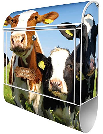 banjado® Design Briefkasten personalisiert mit Kühe 38,5x46,5x13cm & 2 Schlüssel - Briefkasten Stahl weiß mit Zeitungsfach pulverbeschichtet - Postkasten A4 Einwurf inkl. Montagematerial