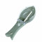 MAXPERKX Fish Scale Scaler Remover Cleaning Brush Green- Plastic Fish Scraper Remover Cleaner Kitchen Cooking Descaler Tools Fast Scales Peeling Easy to Remove Shave Peel Fish Skin Effortless