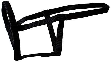 Rhinegold Halfter, metallfrei, 0, Schwarz, Kaltblut/Warmblut extragroß