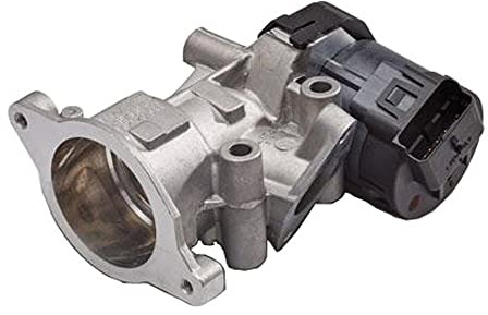 Delphi Technologies EG10419-12B1 EGR Valve