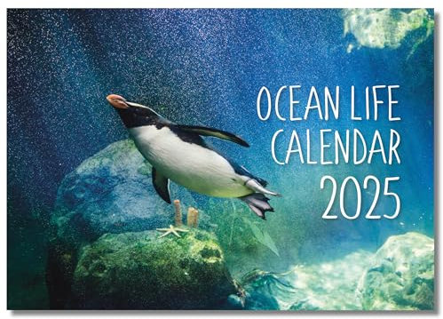 Ocean Life Kalender 2025 A4 | Monatsansicht | A3 geöffnet | Wandkalender von Absolutely Yours.