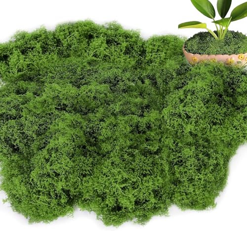 YUZHEDM Kunstmoos zum Dekorieren 100g Prozessmoos Dunkelgrün Nylon Fake Moos Kunstmoos zum Basteln Künstliches Deko Kunst Moos zum Basteln Islandmoos Zum Miniatur Garten Deko