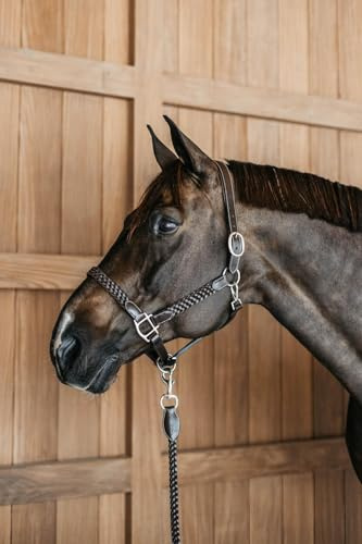 Kentucky - Plaited Halter
