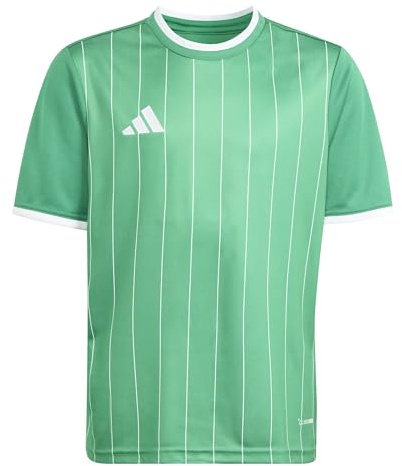 adidas Unisex Kinder Entrada26 Graphic Jersey Kids Shirt, Team Green/White, 3-4 Years