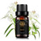 Aromaterapia Lily Aceite esencial para difusor, 100% puro lirio aceite esencial para masaje, grado terapéutico lirio aceite esencial para humidificador