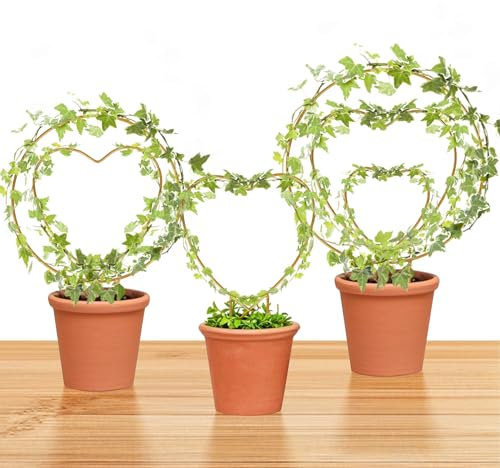 Hoya Treillis en métal de 3 tailles pour plantes d'intérieur avec piquets ronds ou en forme de cœur pour plantes grimpantes en pot (doré)