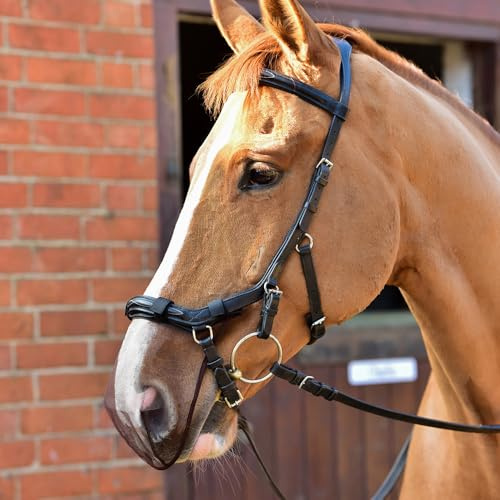 Equilibrium Net Relief - Muzzle Net for Anatomical Bridles