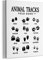 HIWX Animal Tracks Field Guide Gerahmte Leinwandmalerei Wandkunst Dekor, Tier Paw Camper Waldmotiv Wandkunst Kunstwerk Heimdekoration für Kinderzimmer Wohnzimmer Kinderzimmer Schlafzimmer Büro 27,9 x