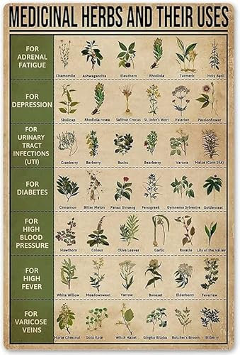 Medicinal Herbs and Their Uses Vintage Rustic Styled House Decor Witches Magic Knowledge Kitchen Blessing Home Decoration Art Poster 8x12 inch