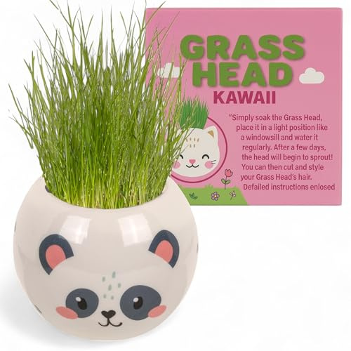 MIJOMA Graskopf Pflanzset – Tierfiguren mit Erde & Grassamen, 6,5 cm Kunststofftopf zum Basteln & Bepflanzen, DIY-Deko für Kinder & Erwachsene (Katze – Kawaii)