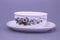 Villeroy & Boch Sauciere mit Teller einteilig - Ranunculus glacialis Botanica