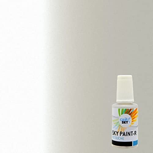 CARSKY Stylo retouche peinture carrosserie compatible avec Nissan White nacré QAB (flacon pinceau 20ml) + vernis brillant (flacon pinceau 20ml)